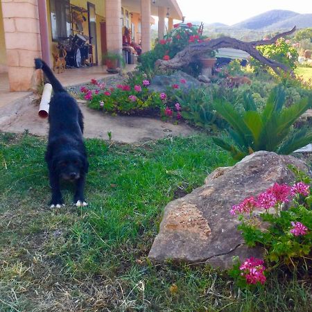 Agriturismo Sogno Latino Иглесиас Экстерьер фото