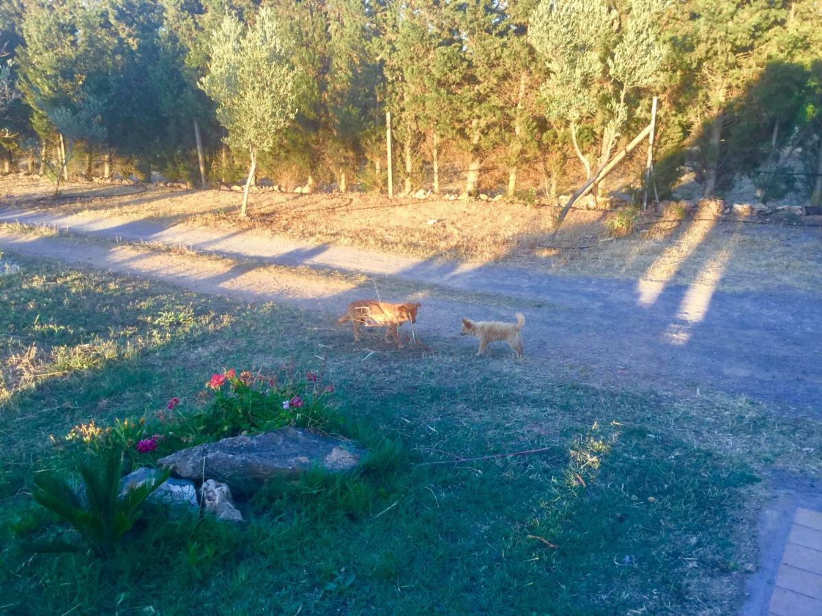 Agriturismo Sogno Latino Иглесиас Экстерьер фото